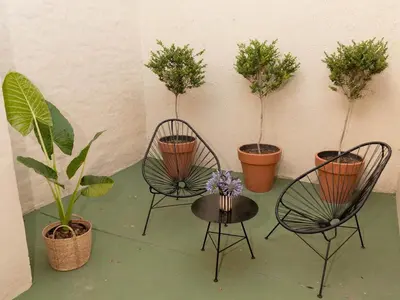 a group of chairs and potted plants on a wall at Depto 2 in Villa Carlos Paz