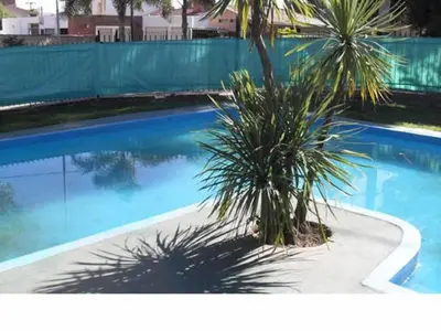 a palm tree sitting next to a blue swimming pool at Hotel Verde Sol in Villa Carlos Paz
