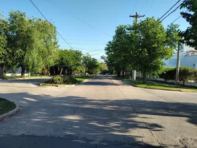 an empty street with trees on both sides of the road at La Mora Casa in Mina Clavero