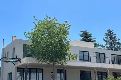 a white building with a tree in front of it at Lago de montaña in Villa Carlos Paz