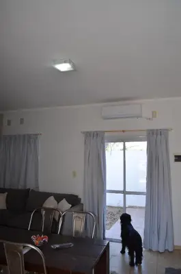 a dog standing in a living room looking out the door at Complejo Fatima in Villa Dolores