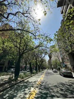 an empty street with trees and cars parked on it at Departamento Premium, Paseo Buen Pastor in Cordoba
