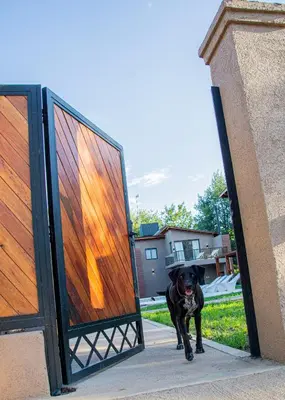a dog walking through an open door at Complejo Montana Departamento 3 in Potrero de Garay