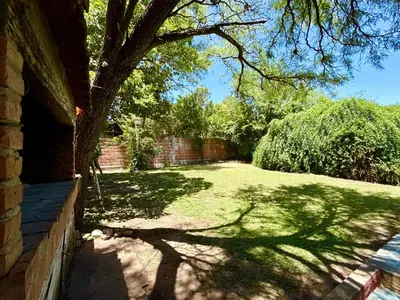 a shady yard with a tree and a brick wall at Mina Clavero Chalet in Mina Clavero