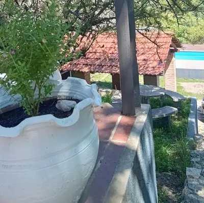 Gallery image of La Calandria in Villa Serranita