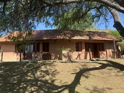 a house with a tree in front of it at Cabañas De La Colina in Villa General Belgrano