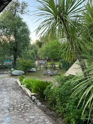 a garden with a table and a palm tree at Pequeño chalet con frente al arroyo in Villa General Belgrano