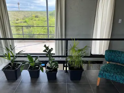 a room with potted plants in front of a window at El Descanso in Villa Santa Cruz del Lago