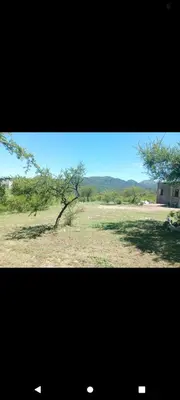 a view of a field with a tree and a building at El Crespín in San Lorenzo