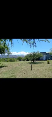 a view of a field with a tree in a field at Crespi in San Lorenzo
