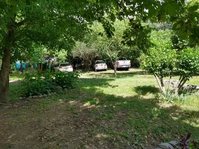two cars parked in a yard with trees at El diquecito duplex in Casa Bamba