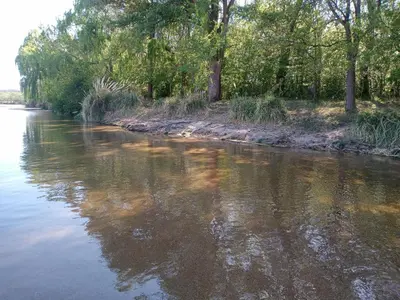 a river with trees on the side of it at Luz de las Sierras in Arroyo de Los Patos