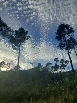 a sky with trees and clouds in a field at Espejo de Hadas - Terrafirme in Villa Yacanto