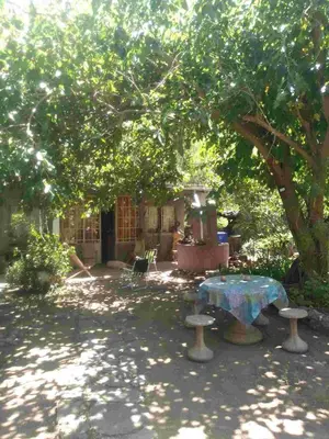 a patio with a table and chairs under a tree at Casa Alma Verde armonia in Luyaba