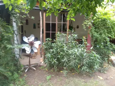 a house with a flower in the front yard at Casa Alma Verde calma in Luyaba