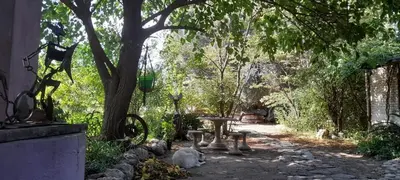 a garden with a table and a tree at Casa Alma Verde calma in Luyaba