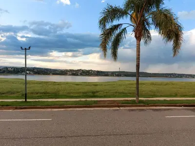 a palm tree on the side of a road at Castillo Del Lago - Carlos Paz - D16 in Villa Carlos Paz