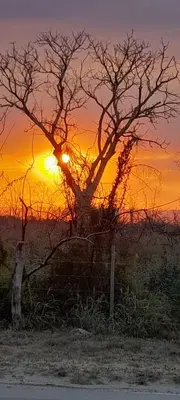 a tree with the sunset in the background at Casa alma verde in Luyaba