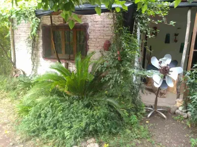 a house with a window and plants in front of it at Casa alma verde in Luyaba